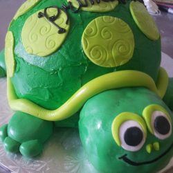 sculpted cakes in southlake, 3-d cakes in arlington, sculpted cakes in arlington, dallas 3-d cake bakery, sculpted cakes in fort worth, sculpted cakes in dallas, sculpted cakes in plano, frisco sculpted cakes, 3-d cakes, sculpted cakes in Irving, sculpted cakes in Grand Prairie, turtle cakes in Arlington, turtle cakes in Dallas Texas
