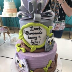 Owl Baby Shower Cakes | Dallas Bakery | Frisco Bakery | Fort Worth Bakery, baby shower cakes in Arlington texas, frisco baby shower bakery, dallas texas cake bakery, baby shower cakes in fort worth, dallas baby shower cakes, southlake baby shower cakes, plano baby shower cakes, grand prairie baby shower cakes bakery, hurst cake bakery, Euless baby shower cakes, richland hills baby shower cakes, baby buggie birthday cakes, baby shower cakes in arlington