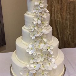 white wedding cake with flowers | wedding cakes dallas | arlington wedding cakes, pearl Wedding Cakes, Stencil wedding cakes, silver wedding cakes, wedding cake ideas, frisco wedding cakes, plano birthday cakes, carrolton wedding cake bakery, grapevine wedding cake, irving wedding cakes, sugar bee sweets bakery