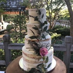 naked cakes, buttercream wedding cakes, custom cakes arlington