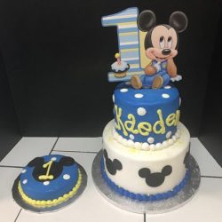 mickey mouse 1st birthday arlington dallas fort worth mansfield southlake