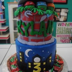 ninja turtle cakes | birthday cakes | boys cakes | birthday cake southlake