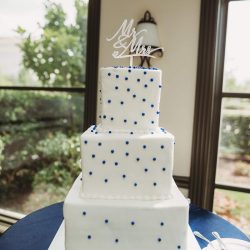 white wedding cakes, blue pearl wedding cakes, plano wedding bakery, frisco wedding cakes, southlake wedding cakes