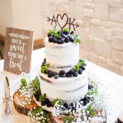 naked wedding cake, delicious cakes dallas, Dallas weddings, arlington wedding cakes, fort worth bakery