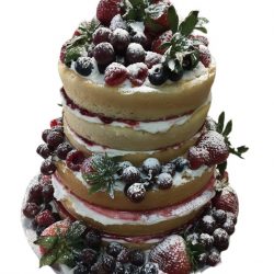 Naked cakes, fruit cakes, naked wedding cakes, custom wedding cakes, small wedding cakes, raspberry jam cakes, thats the cake, dallas cakes