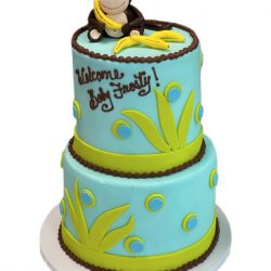 monkey theme baby shower cake, baby shower cakes dallas, custom cakes fort worth, thats the cake