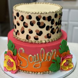 Custom Cakes in Arlington, birthday cakes in dallas, custom cakes in arlington