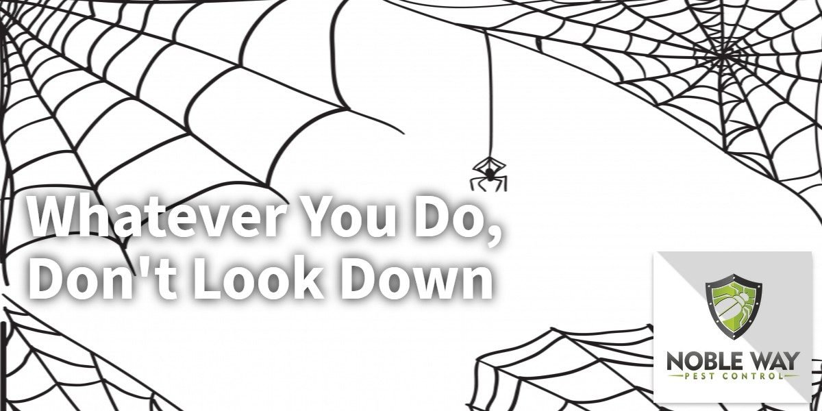 Whatever You Do, Don't Look Down Pest Control Sacramento Noble Way