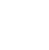 The Salt Experience