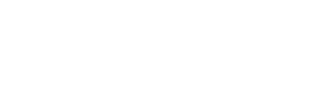The Salt Experience