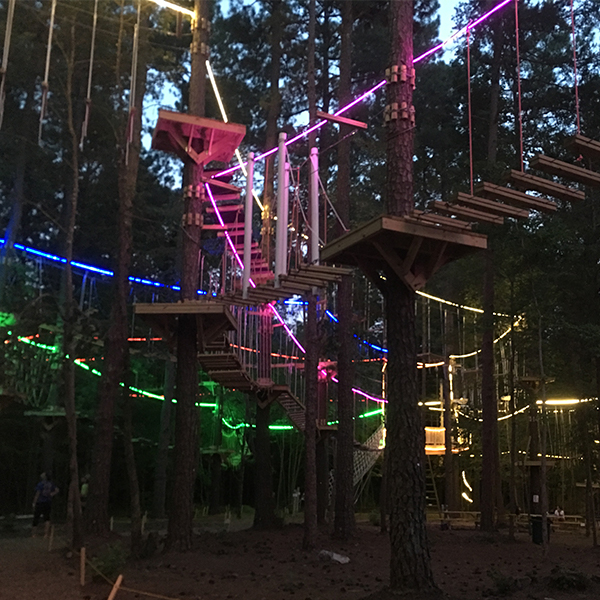 Top 92+ Pictures Treerunner Adventure Park West Bloomfield Photos Latest