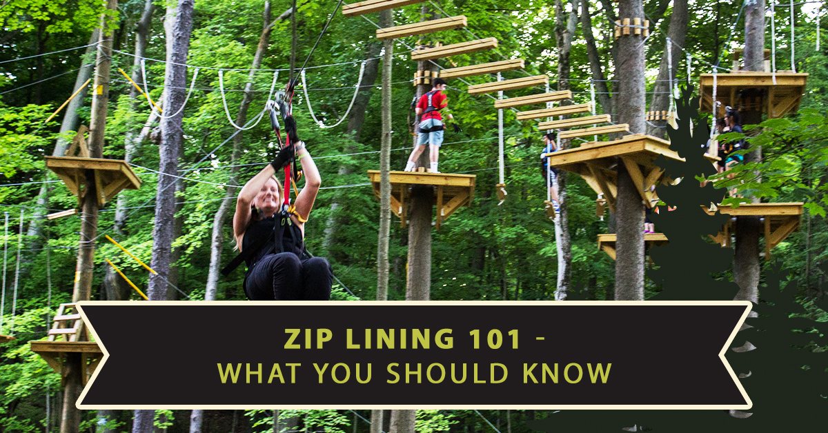 Zip Lining In Raleigh 101 What You Should Know TreeRunner Raleigh