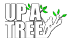 Up A Tree