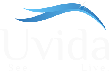 Uvida