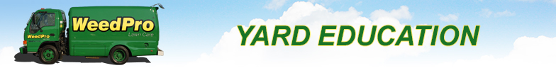 yard-education-banner