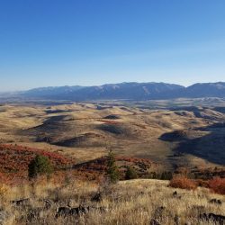 Fall Colors Sprinkle Mountain Range on Guaranteed Turkey Hunt