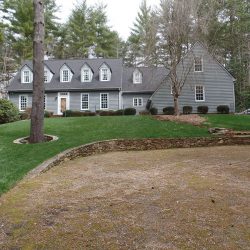 sod installation