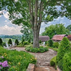 plant landscaping services