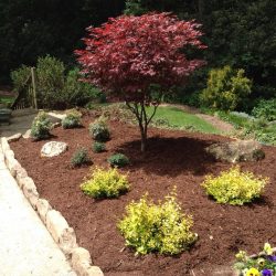 landscape planting design