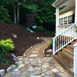 Sod Landscape