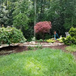 Bush-and-Rock-installation-in-Brevard