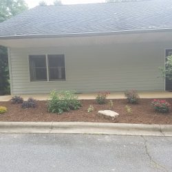 Commercial-Plant-Installation-in-Hendersonville