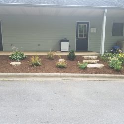 Commercial-Plant-Installation-in-Hendersonville-other-side
