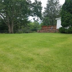 Lawn-Install