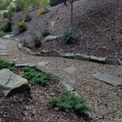 Front Yard Landscape in Mills RIver