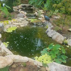 water Feature in Asheville