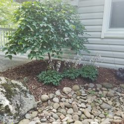 Tree-and-pebble-rock-installation-in-Asheville