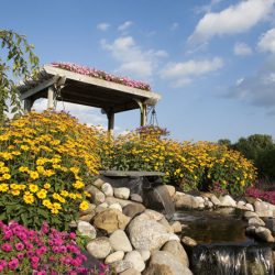 perennial garden with water feature
