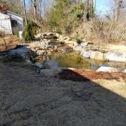 Water Feature in Brevard